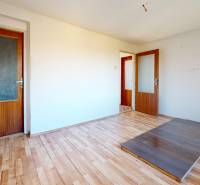 An empty room with a wood-patterned floor and wooden doors in a family house.
