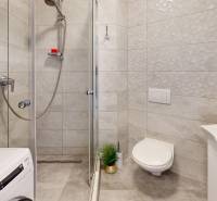 A bathroom in a 3-room apartment with a toilet, shower, washing machine, and decorative plants.