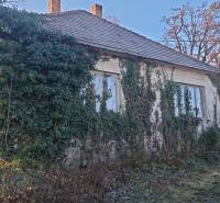 A cottage in Suchá nad Parnou overgrown with ivy and surrounding vegetation.