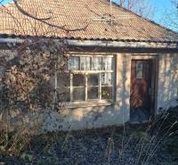 An old cottage in Suchá nad Parnou, surrounded by climbing plants and an overgrown garden.