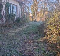 The path to the cottage in Suchá nad Parnou, surrounded by ivy-covered plaster and trees.