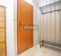 Entrance hallway of a 2-room apartment with a shoe cabinet and a wall-mounted coat rack.