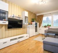 Living room in a two-room apartment with a wooden decor floor and a comfortable sofa.