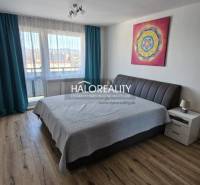 Bedroom in a 2-room apartment with a wooden decor floor and art on the wall.