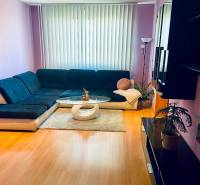 Living room in a three-room apartment with a sofa, coffee table, and wooden decor flooring.