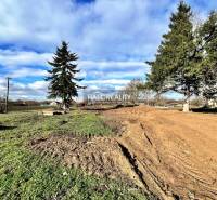 Residential plots in Ondrejovce with grass and trees, adjacent road.