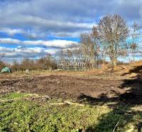 Land - housing in Ondrejovce. Spacious meadows with sparse trees under a blue sky.