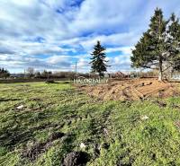 Plots - housing in Ondrejovce, green areas and conifers under the blue sky.