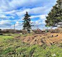 Residential plots in Ondrejovce with grassy areas and trees under a blue sky.