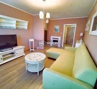 Living room in a 2-room apartment with a light couch and a wooden decor floor.