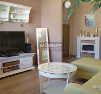 Living room with a television, fireplace, and wood-patterned flooring in a two-room apartment.