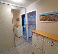 A hallway with storage space, a wooden decor floor, and a decorative painting in a 2-room apartment.