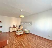 Living room in a 3-room apartment with a wooden decor floor, minimalism, light walls, furniture.