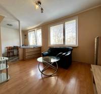 Interior of a 1-room apartment with a sofa, glass table, and wood-patterned flooring.