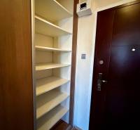 Built-in shelving system with sliding doors in a studio apartment, complemented by a floor with a wooden decor.