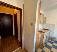 Entrance hallway with a kitchenette in a studio apartment, floor with wood decor.