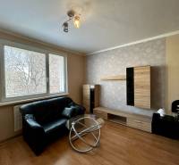 Living room with a sofa, coffee table, and wooden decor flooring in a studio apartment.