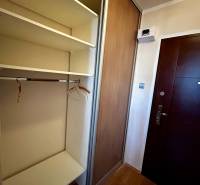Built-in wardrobe in the hallway of a one-bedroom apartment with a wood-patterned floor.