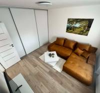 A room in a 2-room apartment with a brown sofa, wooden decor flooring, and a large wardrobe.