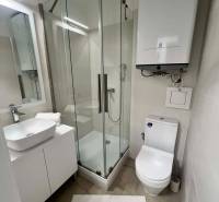 A bathroom in a 2-room apartment with a modern shower and sink.