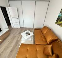 Living room in a two-room apartment with a wooden decor floor and an orange sofa.