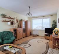 Living room in a two-room apartment with carpets and wood-patterned flooring.