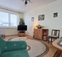 A living room with wood-patterned flooring, a green sofa, and furniture in a two-room apartment.