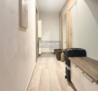 A hallway with a wood-patterned floor and storage space in a 2-room apartment.