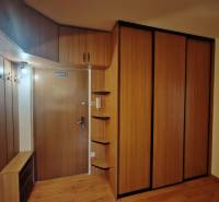 Entrance hall with wood-patterned flooring, spacious wardrobes, and coat racks in a 3-room apartment.