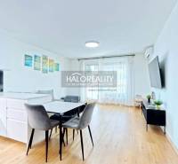 Interior of a 2-room apartment with a kitchenette, dining area, and wooden decor flooring.
