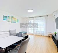 Living room in a two-room apartment with a wooden decor floor and furniture.