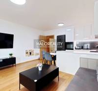 Living room in a two-room apartment, bright interior, kitchen unit, floor with wood decor.