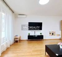 Living room in a two-room apartment with a wooden decor floor, large window, and dining table.