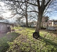The garden of a family house in Lúčnica nad Žitavou with a lawn, trees, and a simple gazebo structure.