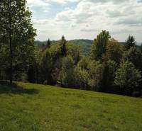Greenery and trees in the meadow, recreational plots in Oščadnica, Oščadnica, nature.