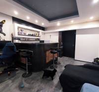 A room in a family house with a bar counter, a computer desk, and two cats.