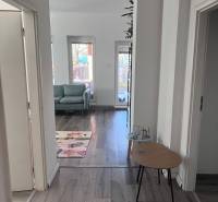 Leather sofa, bright room, floor with wood decor, 4-room apartment.