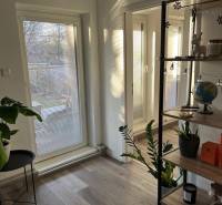 Bright room with glass doors, wooden decor flooring, and houseplants.