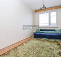 A simple room with a carpet and a sofa in a 3-room apartment, floor with wood decor.