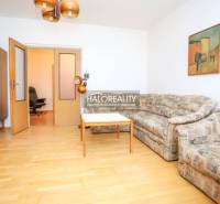 Living room of a three-room apartment with a sofa, table, and wooden decor flooring.