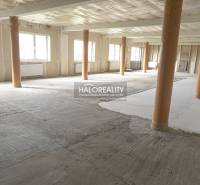 Open-plan commercial space with exposed wooden columns.