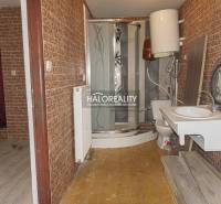 A bathroom in commercial premises with wooden decor on the walls and a shower enclosure.