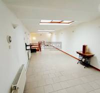 A bright hallway in a family house with white walls and skylights.
