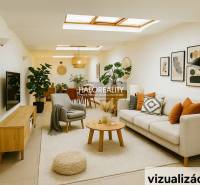 A bright commercial space with a sofa, plants, and decorations on the walls.