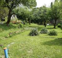 A garden with fruit trees, a lawn, and a cottage, ideal for relaxation in nature.