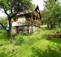 In the picture, there is a cabin situated on the edge of a forest surrounded by lush greenery.