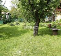 Garden and cottage with a gazebo, lawn, trees, table and chairs, ideal for relaxation.