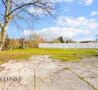 A courtyard at a family house on Nemečkovská Street in Prašice with a paved area and trees.