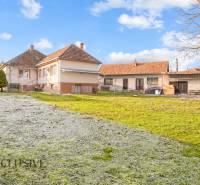 A family house on Nemečkovská Street in Prašice with a large garden and buildings in the background.