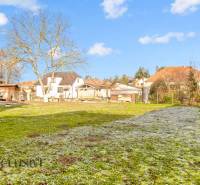 Garden at a family house on Nemečkovská Street in Prašice with trees and a lawn.